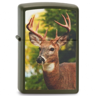 Zippo Buck